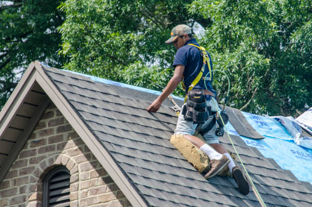 Best Shingle Roofing Installation  in Greenfields, PA
